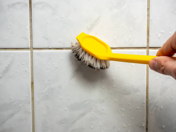 Best Toxic Mold Removal  in Haskins, OH
