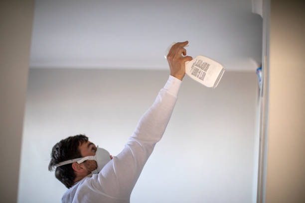Best Office Mold Removal Services  in Haskins, OH
