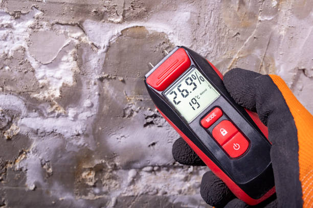 Best Emergency Mold Removal  in Haskins, OH