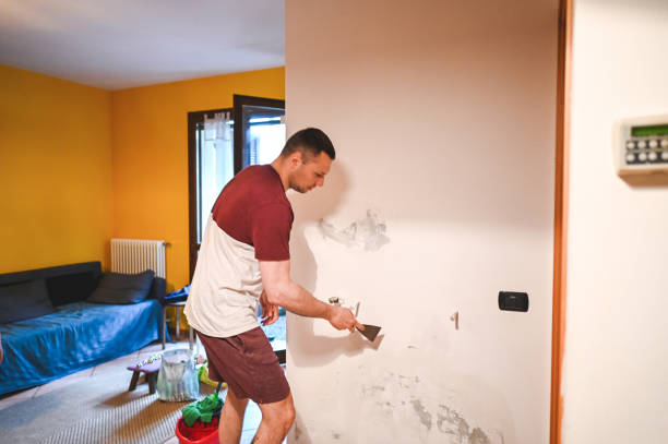 Best Mold Damage Repair  in Haskins, OH